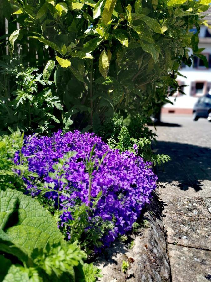 Ferienwohnung Lavanda Rust Buitenkant foto