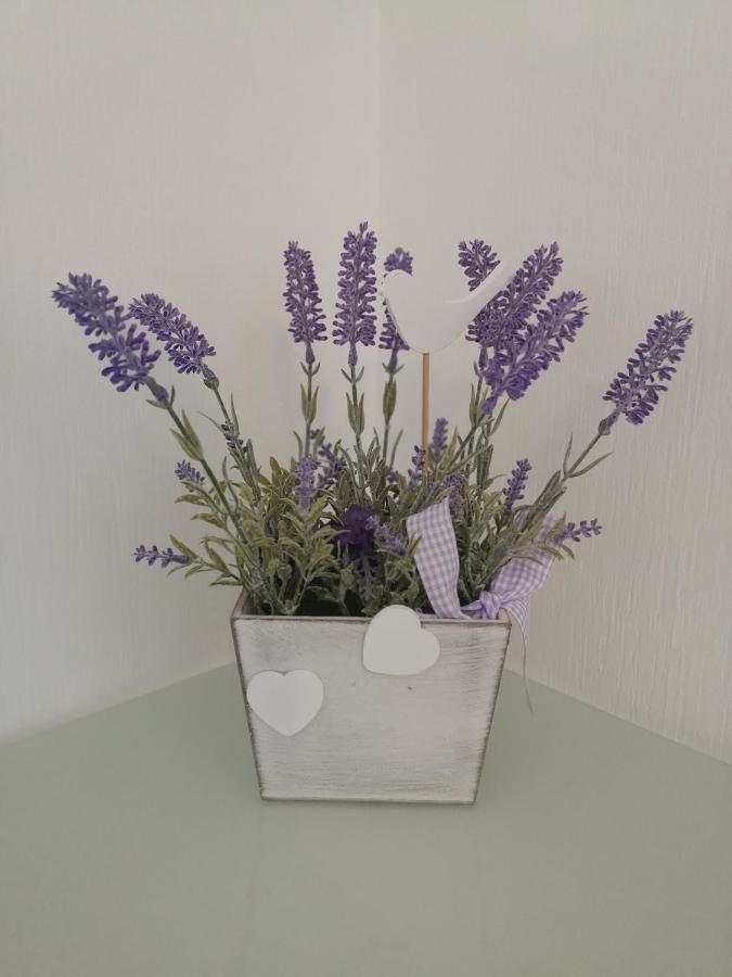 Ferienwohnung Lavanda Rust Buitenkant foto